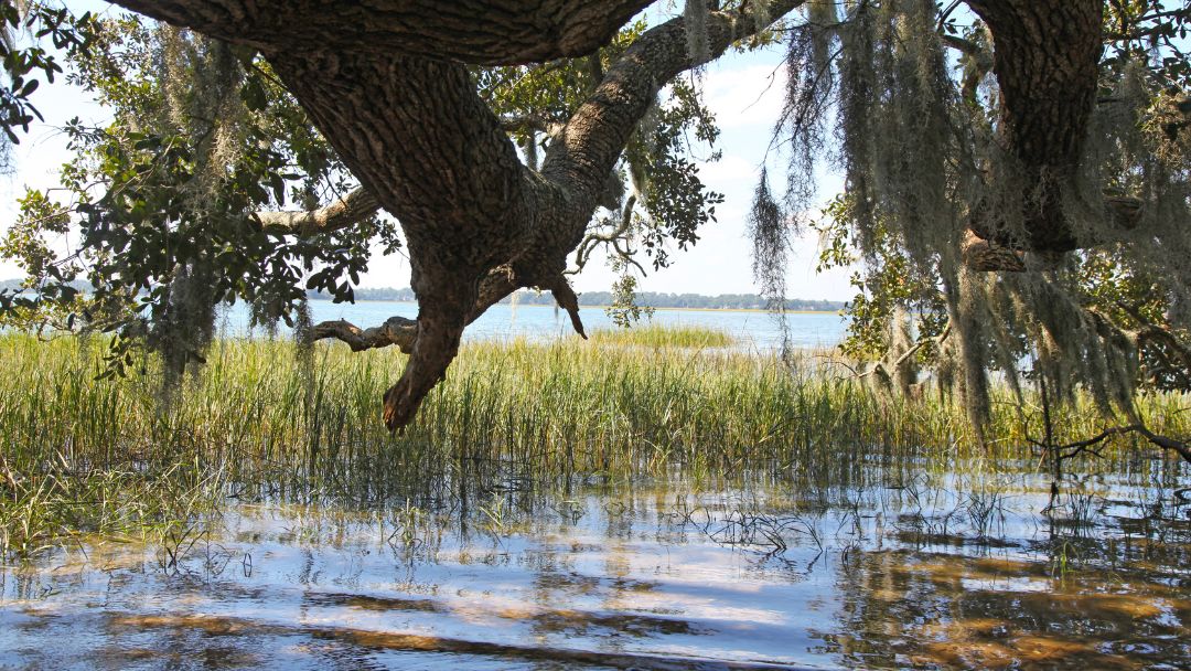coopers point real estate